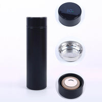 Smart Water Bottle with LED Temperature Display 500ML